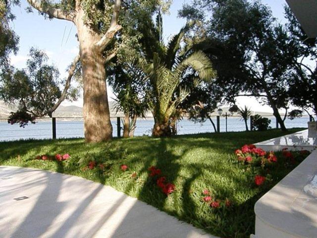 Tzeni Villa Lygia  Luaran gambar