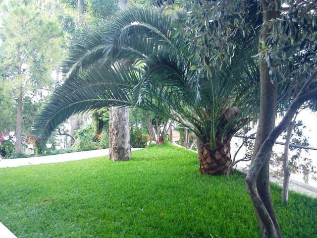 Tzeni Villa Lygia  Luaran gambar